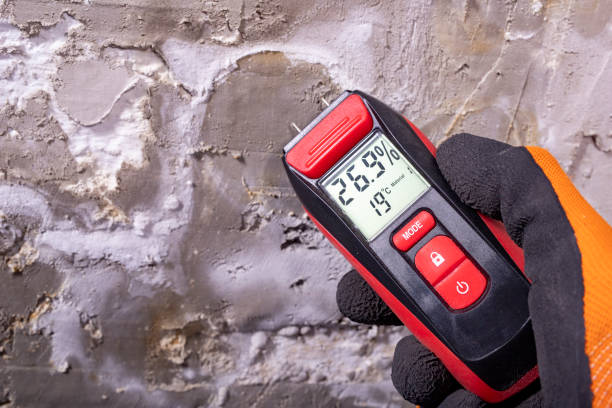 Best Toxic Mold Removal  in Whiteriver, AZ